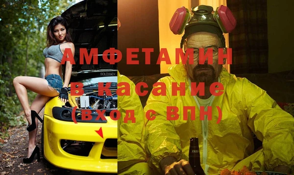 МДПВ Бородино