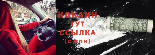 МДПВ Бородино