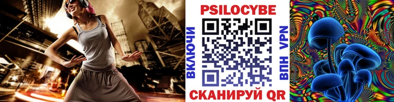 Галлюциногенные грибы Psilocybe omg онион сайты даркнета официальный сайт Нея